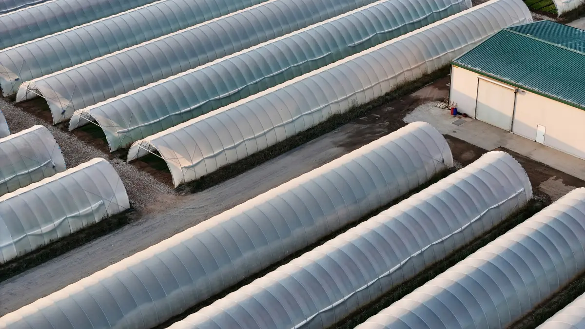 Food supply chain risk assessment