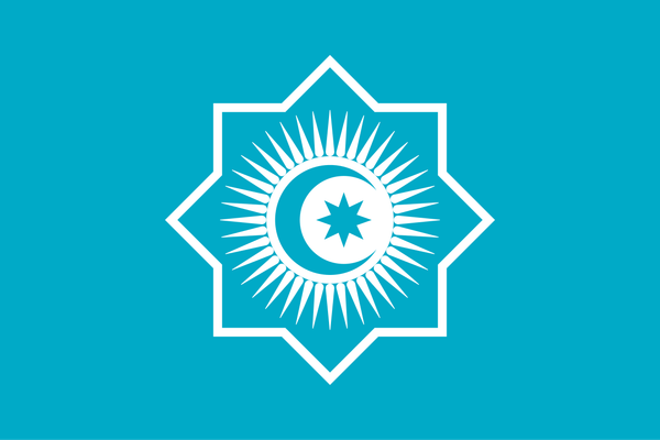 The External Environment Shapes the Internal Agenda of the Organization of Turkic States